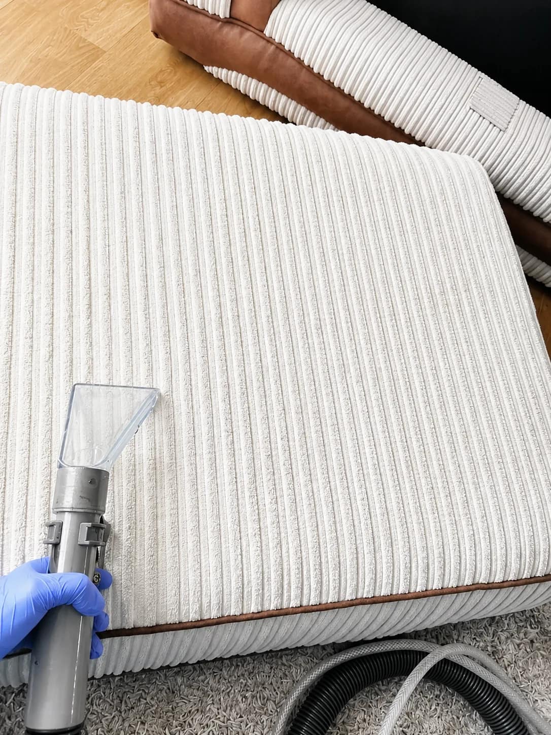 Close-up upholstery cleaning on a corduroy sofa seat cushion